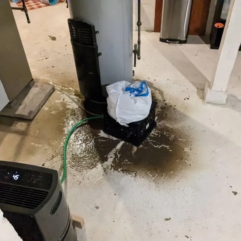 Sewage Backup Cleanup Service in Elkfork, KY